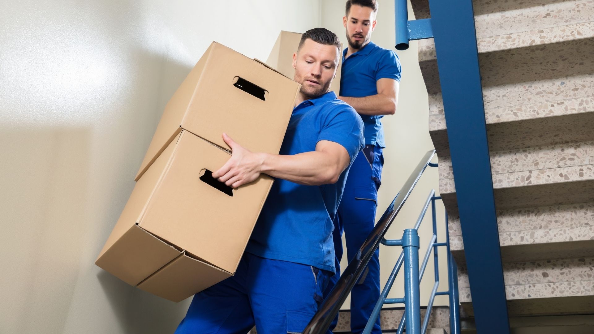 Moving and Storage Services